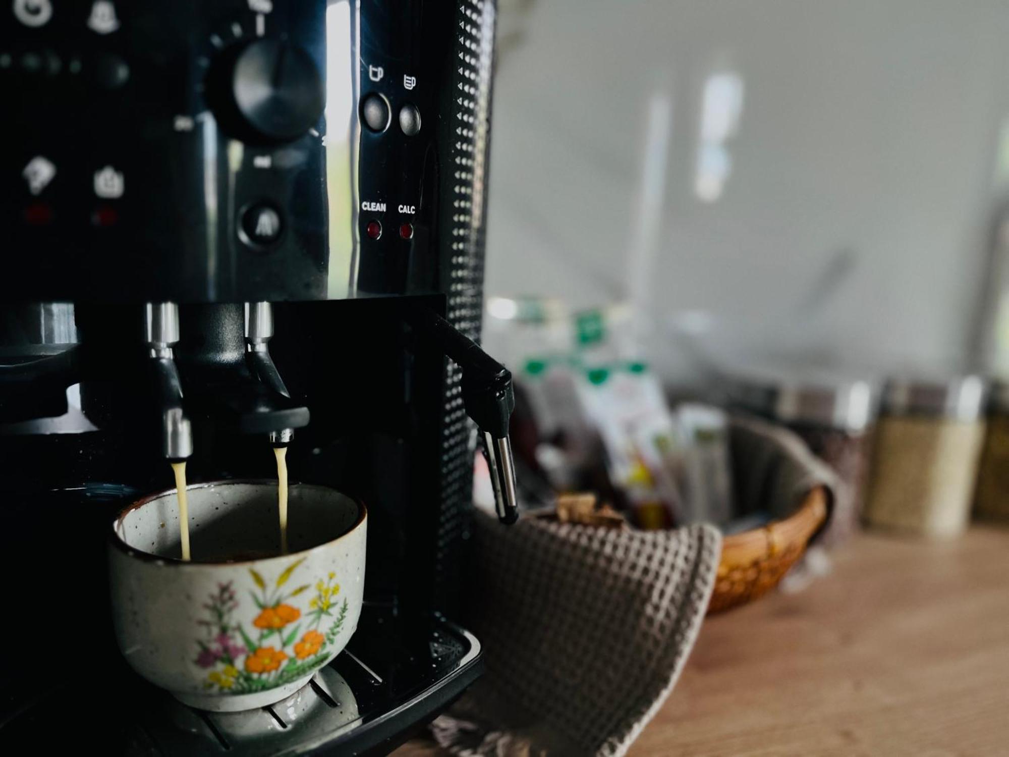 Apartament Studio Bian تيميشورا المظهر الخارجي الصورة