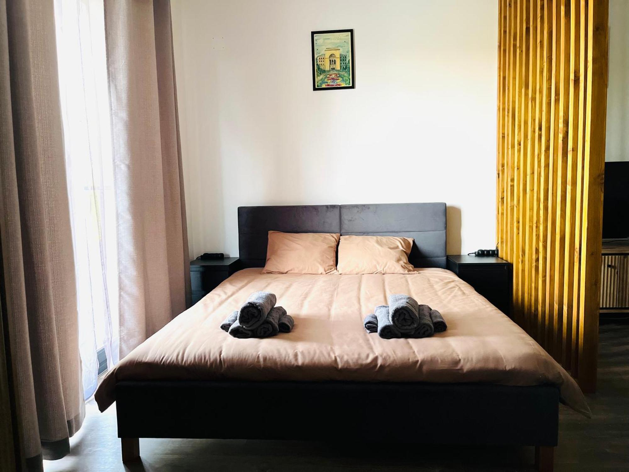 Apartament Studio Bian تيميشورا المظهر الخارجي الصورة
